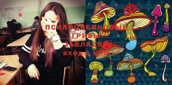 крисы Арсеньев