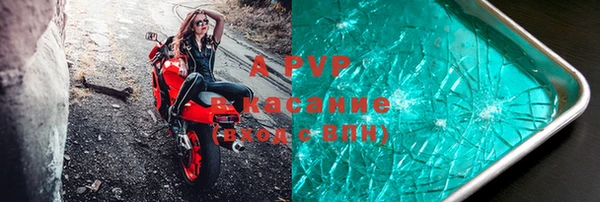 стафф Осинники