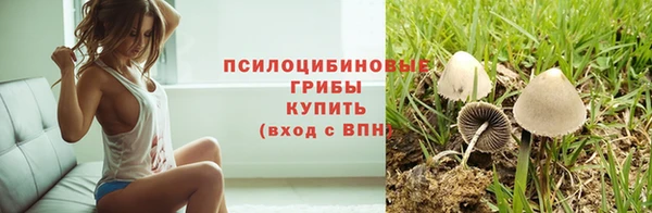 дживик Армянск
