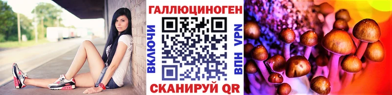 Псилоцибиновые грибы Cubensis дарнет шоп Таруса